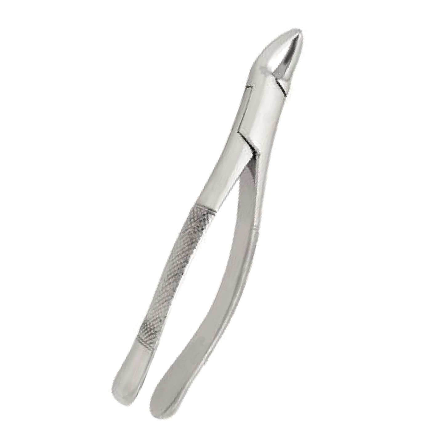 Tooth Extracting Forceps