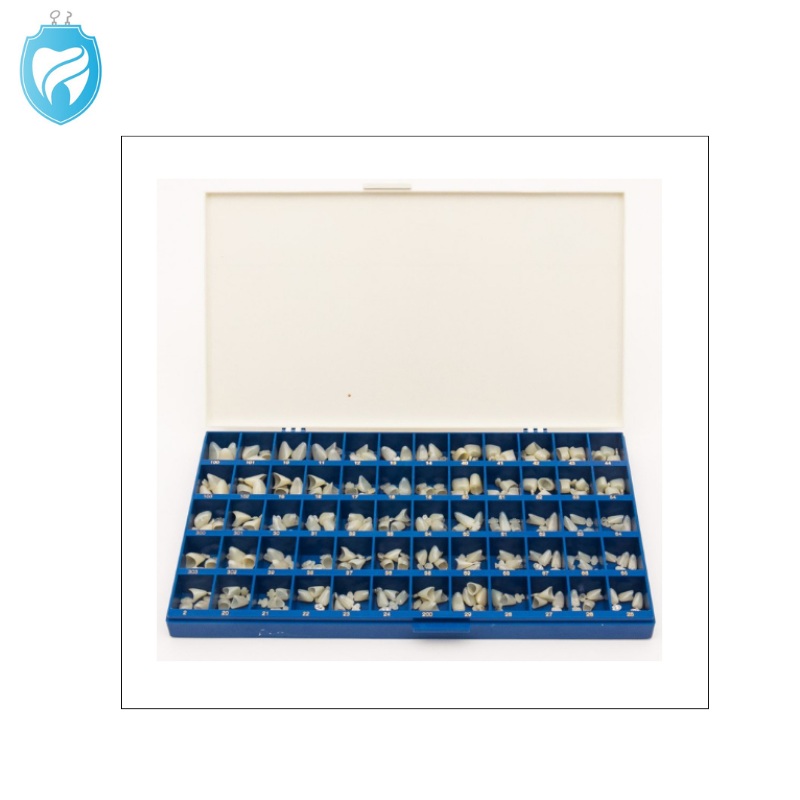 Dexiter Polycarbonate crowns kit 180/pk