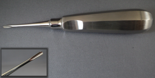 DEXITER #81 SCHMECKEBIER ELEVATOR Comparable to Hu-Friedy & Miltex