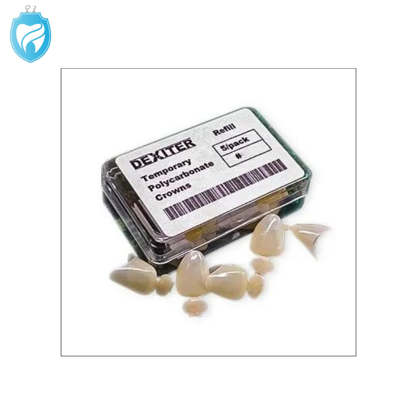 Crown Polycarbonate (Directa) Upper Central Incisors Right 13 x 5 - Dental Products Crown Polycarbonate (Directa) Upper Central Incisors Right 13 x 5 - Dental Products